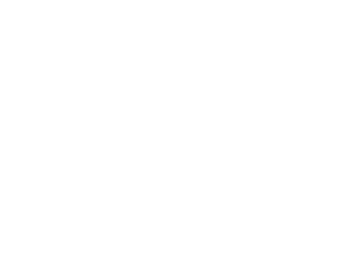 Silver Consulting Logo
