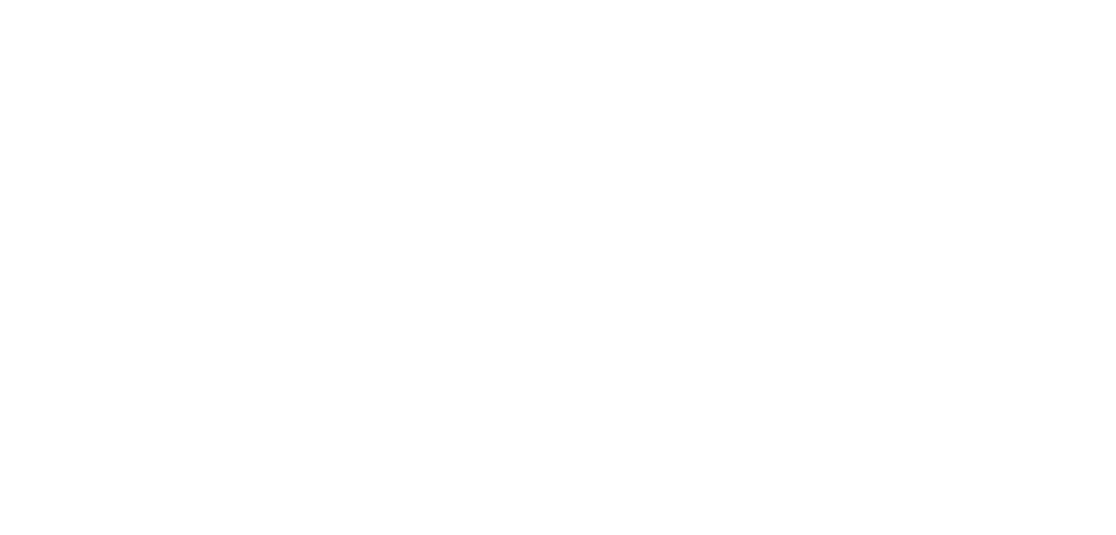 Zara Consulting Logo